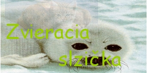 banner.jpg